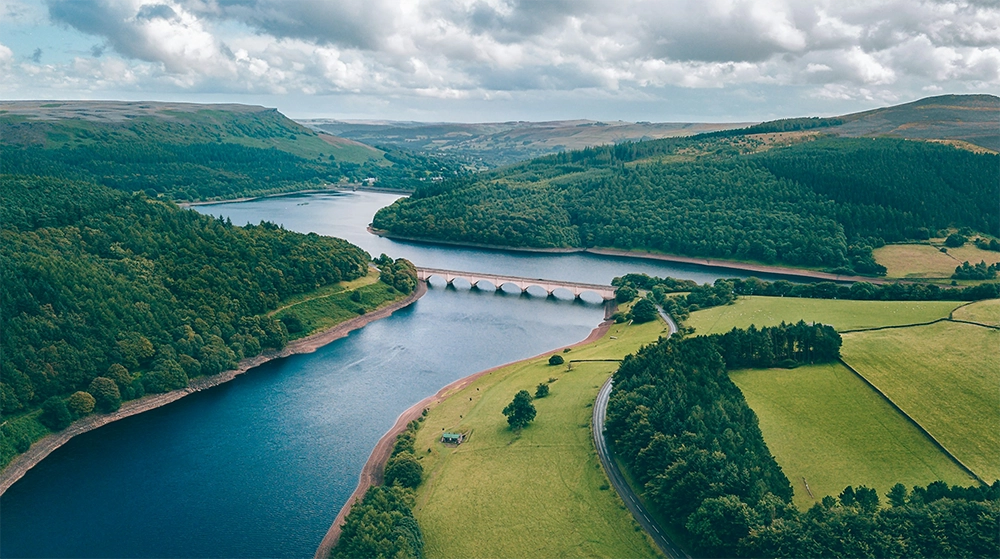 Aerial view of a forested river valley